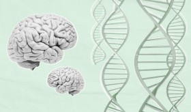 Largest MS brain cohort reveals biological differences