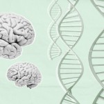 Largest MS brain cohort reveals biological differences
