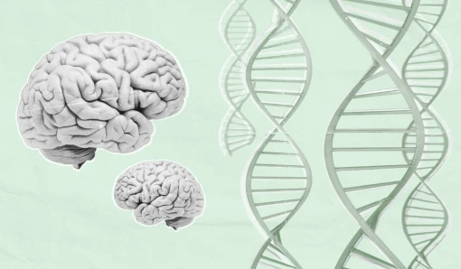 Largest MS brain cohort reveals biological differences