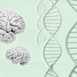 Largest MS brain cohort reveals biological differences