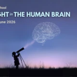 Join our Summer School!